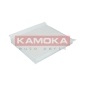 KAMOKA F410801
