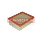 KAMOKA F209001