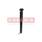 2000875 KAMOKA Амортизатор