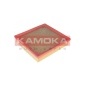 KAMOKA F224801