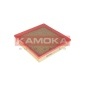 KAMOKA F224801