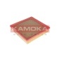 KAMOKA F224801