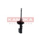 KAMOKA 2001062