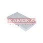 KAMOKA F404701