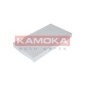 KAMOKA F404701