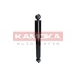 KAMOKA 2000006
