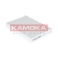 KAMOKA F414901