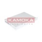 KAMOKA F414901