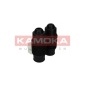 KAMOKA 2019024
