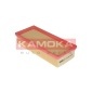 KAMOKA F209601