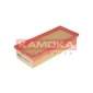 KAMOKA F209601