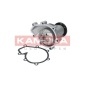 KAMOKA T0181