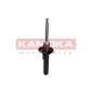 KAMOKA 2000446