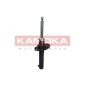 KAMOKA 2000446