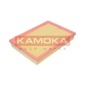 KAMOKA F202901