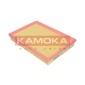 KAMOKA F202901
