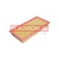 KAMOKA F224101