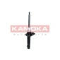 KAMOKA 2000377