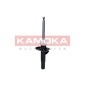 KAMOKA 2000377