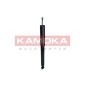 KAMOKA 2001017