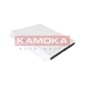 KAMOKA F415301