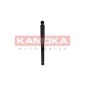 KAMOKA 2000034