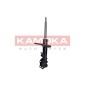 KAMOKA 2000051