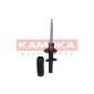 KAMOKA 2000078