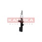KAMOKA 2000123