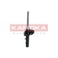 KAMOKA 2000143
