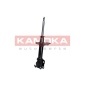 KAMOKA 2000164