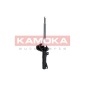 KAMOKA 2000209