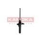 KAMOKA 2000211