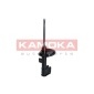 KAMOKA 2000216
