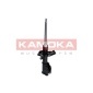 KAMOKA 2000224