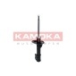 KAMOKA 2000256