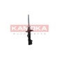 KAMOKA 2000293