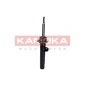 KAMOKA 2000295