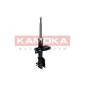 KAMOKA 2000301