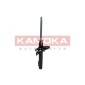 KAMOKA 2000388