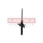 KAMOKA 2000388