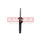 KAMOKA 2000417