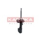 KAMOKA 2000428