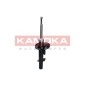 KAMOKA 2000506