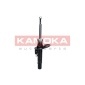 KAMOKA 2000506
