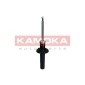 KAMOKA 2000648