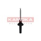 KAMOKA 2000648