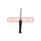 KAMOKA 2000679