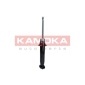 KAMOKA 2000679