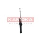 KAMOKA 2000698